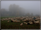 foto Paesaggi Autunnali tra le Colline 